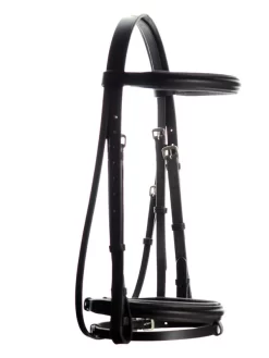 Ascot Padded Flash Bridle