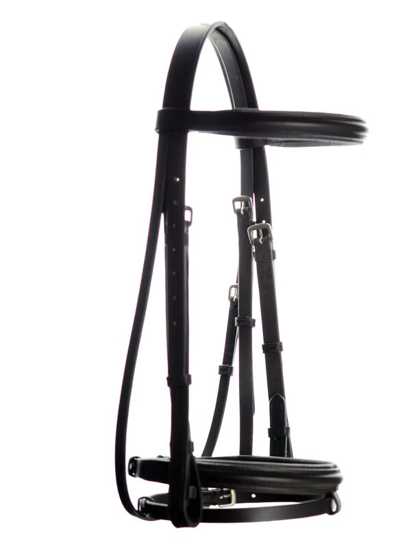 Ascot Padded Flash Bridle 1 Ascot Padded Flash Bridle