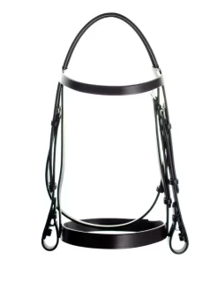 Ascot Plain Bridle
