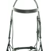 Ascot Show Bridle