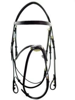 Ascot Grackle Bridle