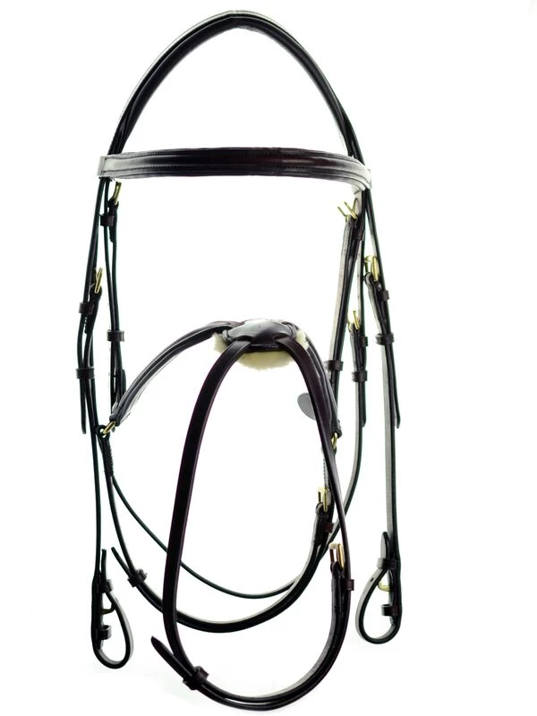 Ascot Grackle Bridle 1 Ascot Grackle Bridle