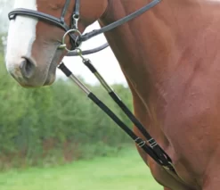Shires Nylon Harbridge Training Aid