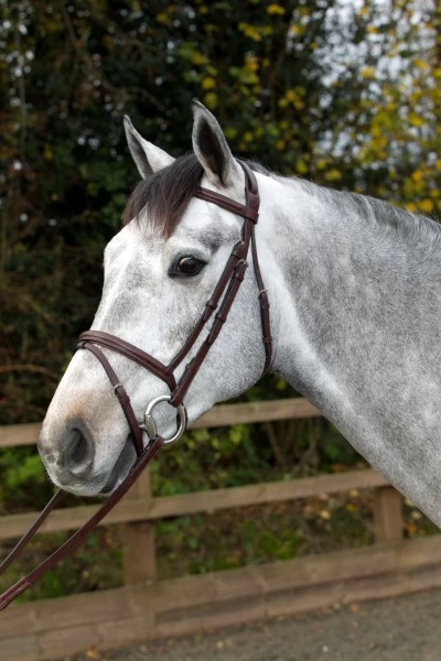 Wembley Pro Flash Bridle Including Reins 1 Wembley Pro Flash Bridle Including Reins