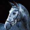 Rambo Micklem Competition Bridle