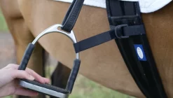 Equilibrium Symmetry Straps 5 Equilibrium Symmetry Straps -Equestrian Supplies Sale 0000006485