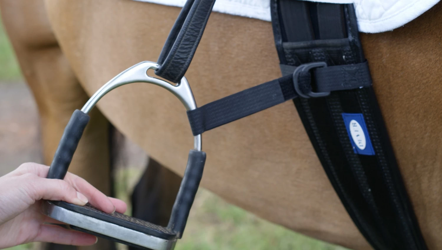 Equilibrium Symmetry Straps 3 Equilibrium Symmetry Straps - Image 3