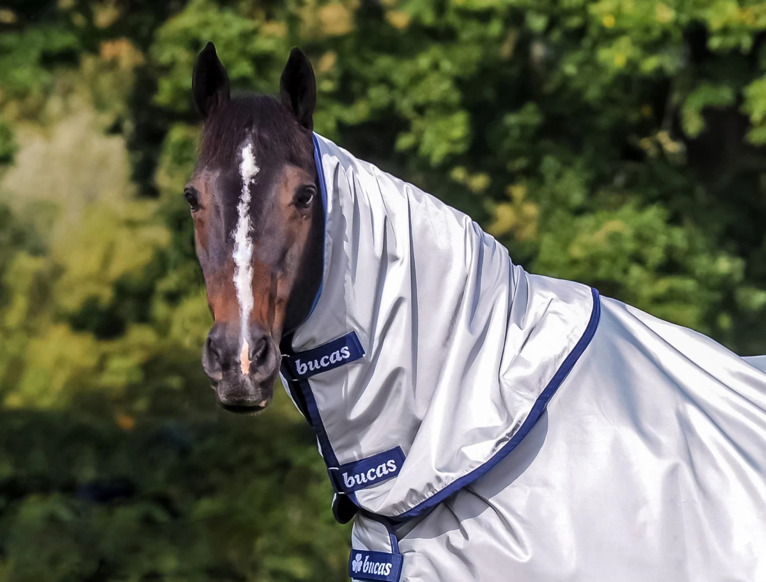 Bucas Power Combi Neck 1 Bucas Power Combi Neck