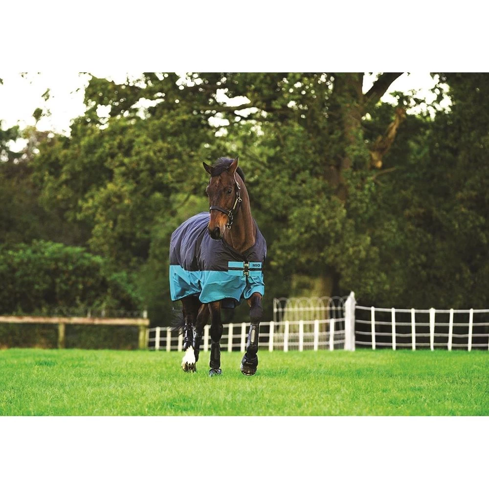 Horseware Amigo Mio 200g Turnout 1 Horseware Amigo Mio 200g Turnout