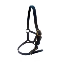 Ascot Foal Halter