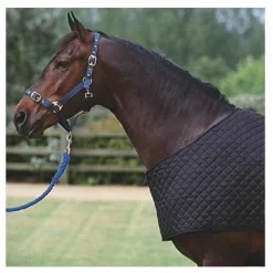 EDT Quilted Rug Bib