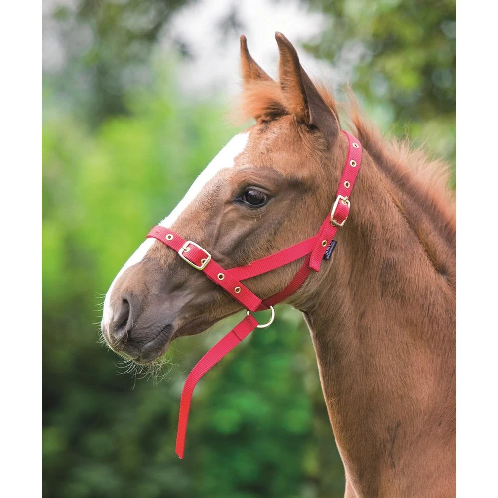 Shires Nylon Foal Slip 1 Shires Nylon Foal Slip