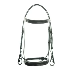 Ascot Comfort Show Bridle
