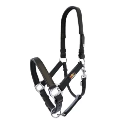 Equilibrium Stellar Headcollar