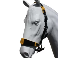 EDT Newmarket Headcollar