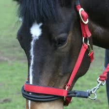 Km Elite Ezyloader Headcollar Adaptor