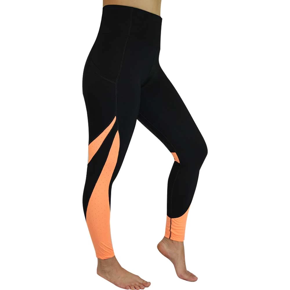 EDT Amethyst Riding Tights 1 EDT Amethyst Riding Tights