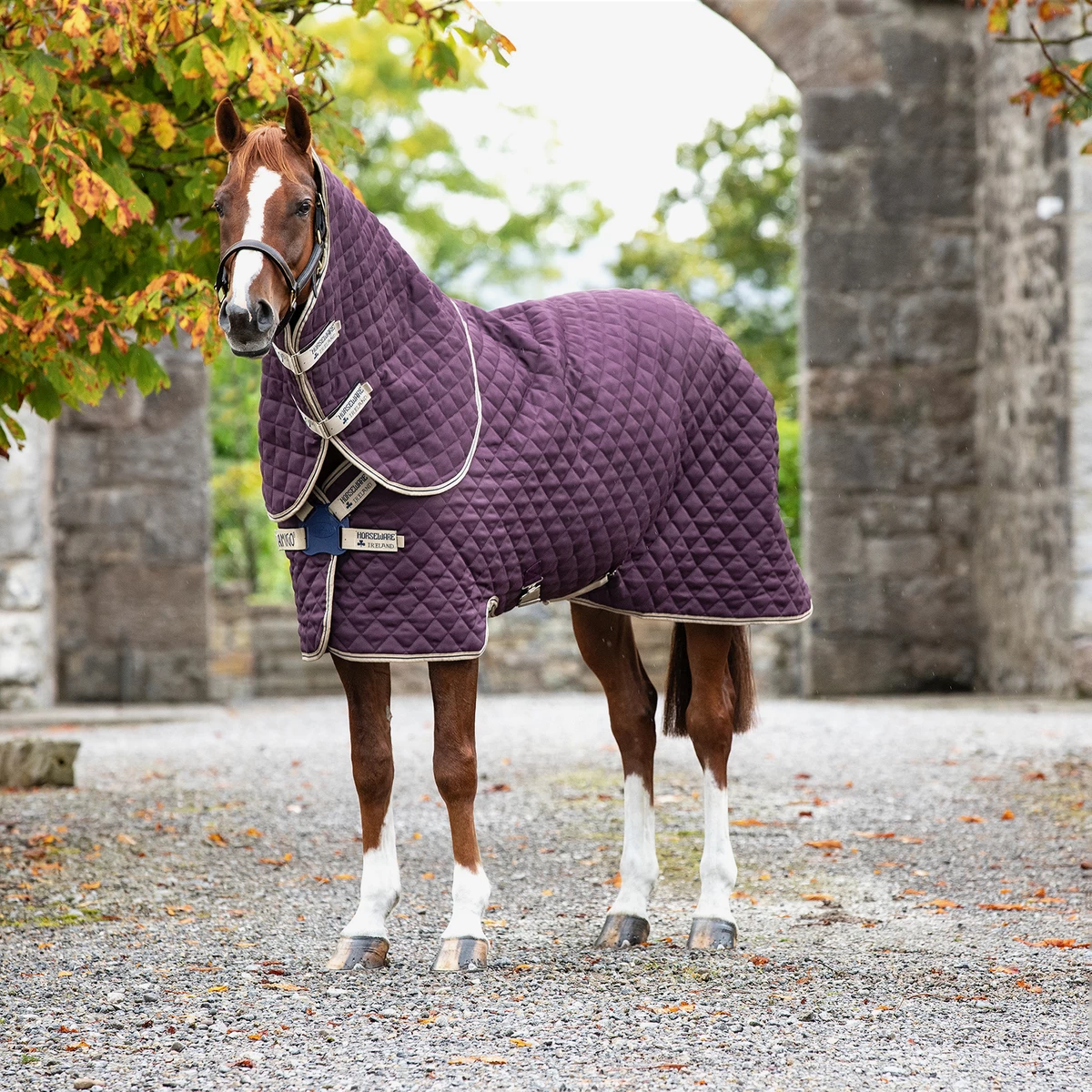 Horseware Amigo Plus 200g Disc Front Stable 1 Horseware Amigo Plus 200g Disc Front Stable