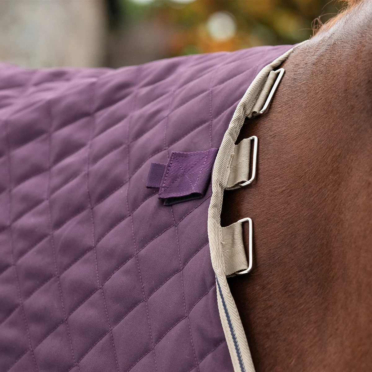 Horseware Amigo Plus 200g Disc Front Stable 3 Horseware Amigo Plus 200g Disc Front Stable - Image 3