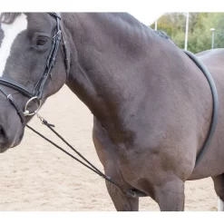 Shires Soft Lunging Aid