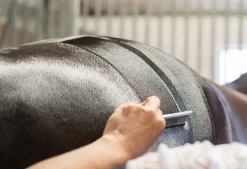 Km Elite Smart Grooming Quarter Marking Spray -Equestrian Supplies Sale 0000013547