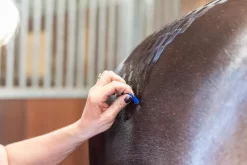 Km Elite Smart Grooming Quarter Marking Spray -Equestrian Supplies Sale 0000013548