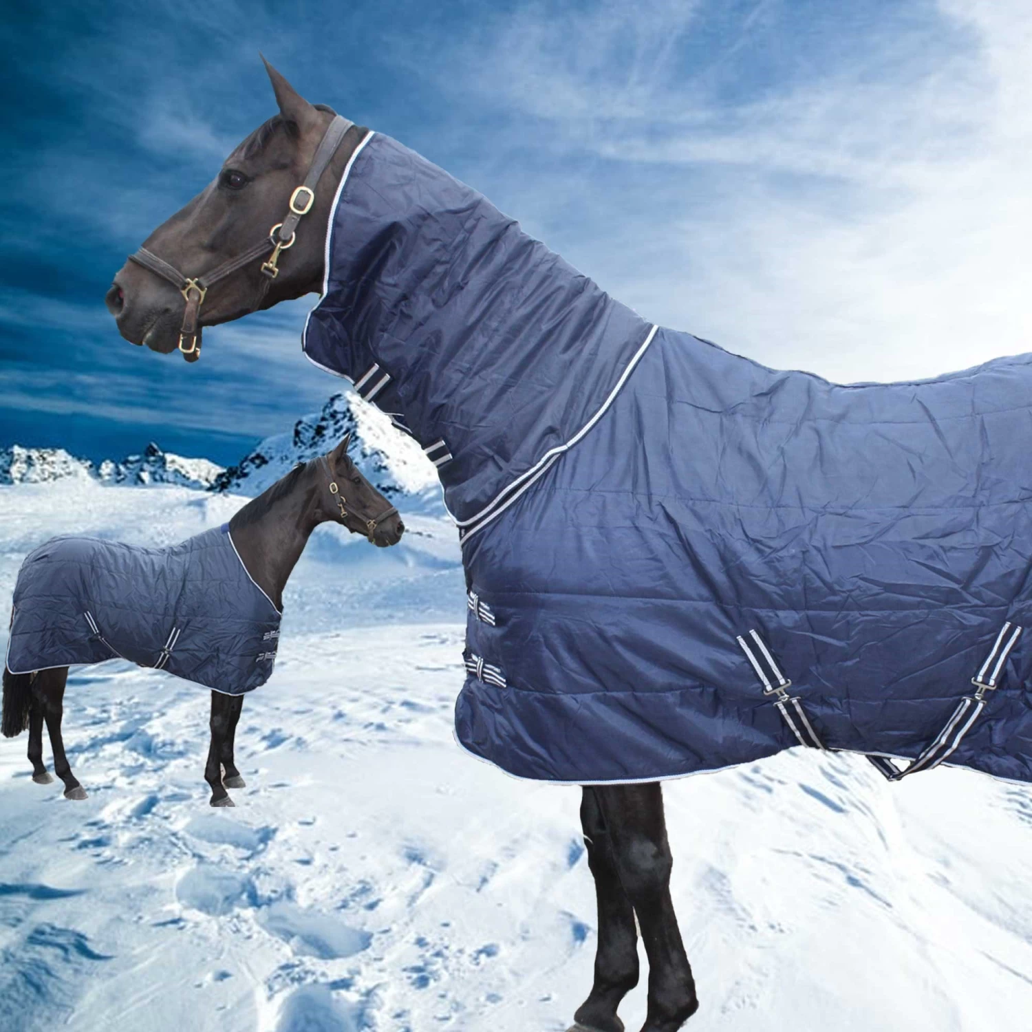 EDT Stable Rug 100g Or 200g 1 EDT Stable Rug 100g Or 200g