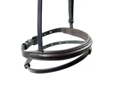 Ascot Padded Flash Noseband