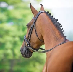 Bridleway Lavello Padded Crank Flash Bridle