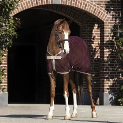 Horseware Amigo Net Cooler