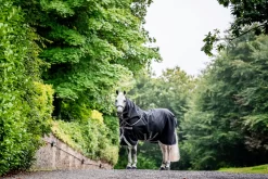 AMIGO BRAVO 12 PLUS BUNDLE (50G + 100G + 200G)