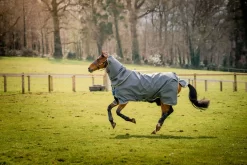 AMIGO BRAVO 12 PLUS BUNDLE (50G + 100G + 200G) -Equestrian Supplies Sale amigo bravo 12 plus bundle 50g 100g 200g 17992