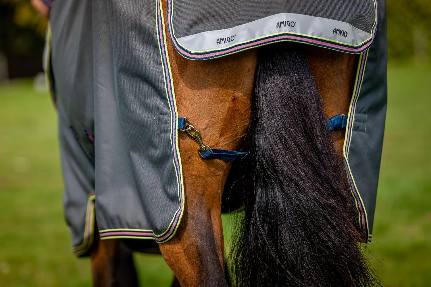 AMIGO BRAVO 12 PLUS TURNOUT 0G 5 AMIGO BRAVO 12 PLUS TURNOUT 0G - Image 5