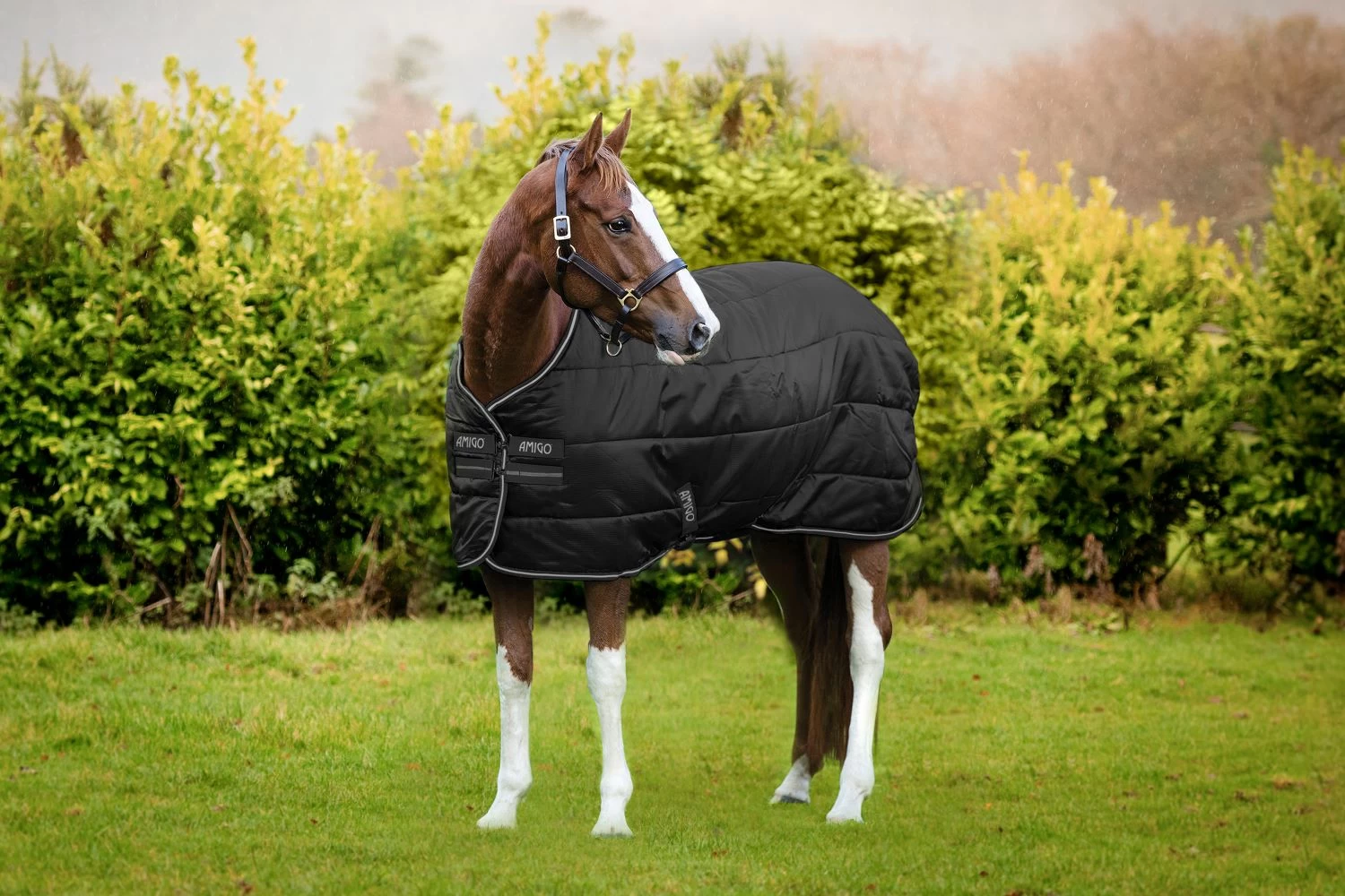 AMIGO DIAMOND INSULATOR 100G 1 AMIGO DIAMOND INSULATOR 100G