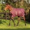 AMIGO FOAL 200G RIPSTOP RUG