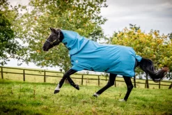 AMIGO HERO 900D REVIVE PLUS 50G