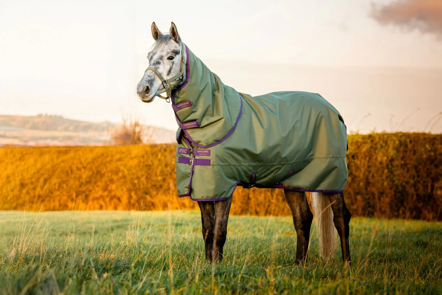 Horseware Hero Ripstop Medium Plus Turnout 1 Horseware Hero Ripstop Medium Plus Turnout