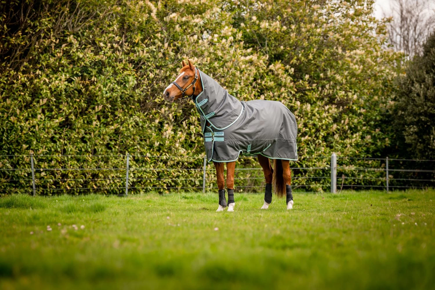 AMIGO HERO RIPSTOP PLUS MED 200G 1 AMIGO HERO RIPSTOP PLUS MED 200G