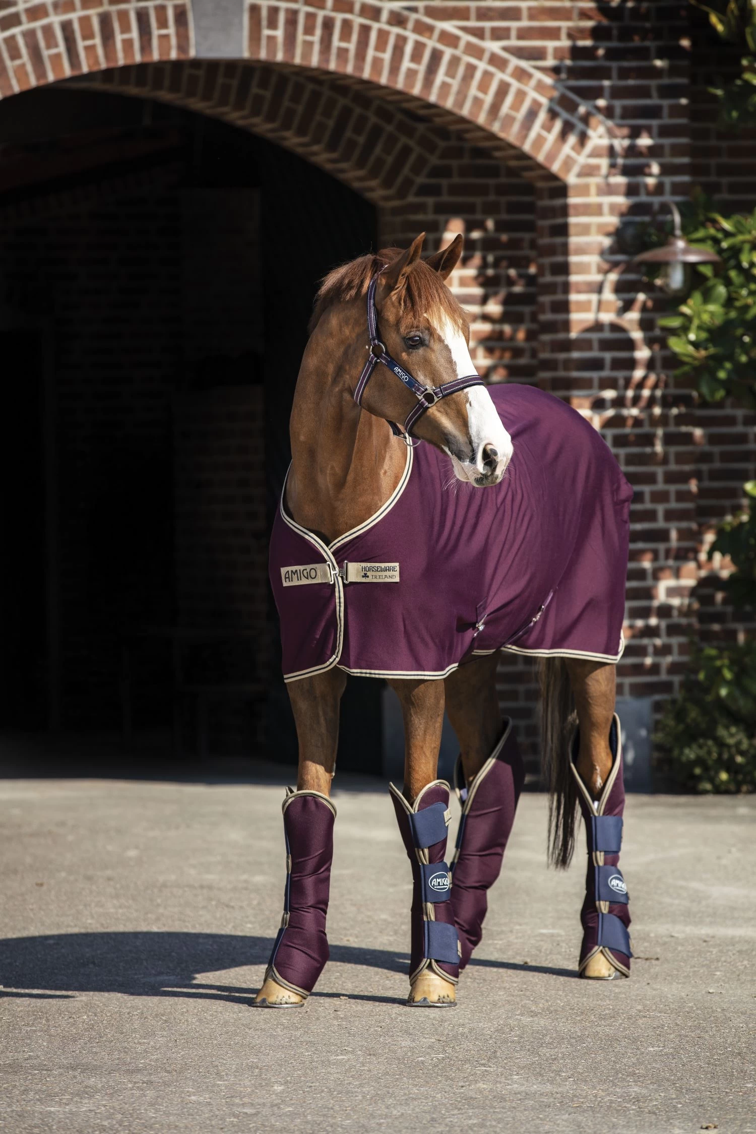 AMIGO JERSEY COOLER 2 AMIGO JERSEY COOLER - Image 2