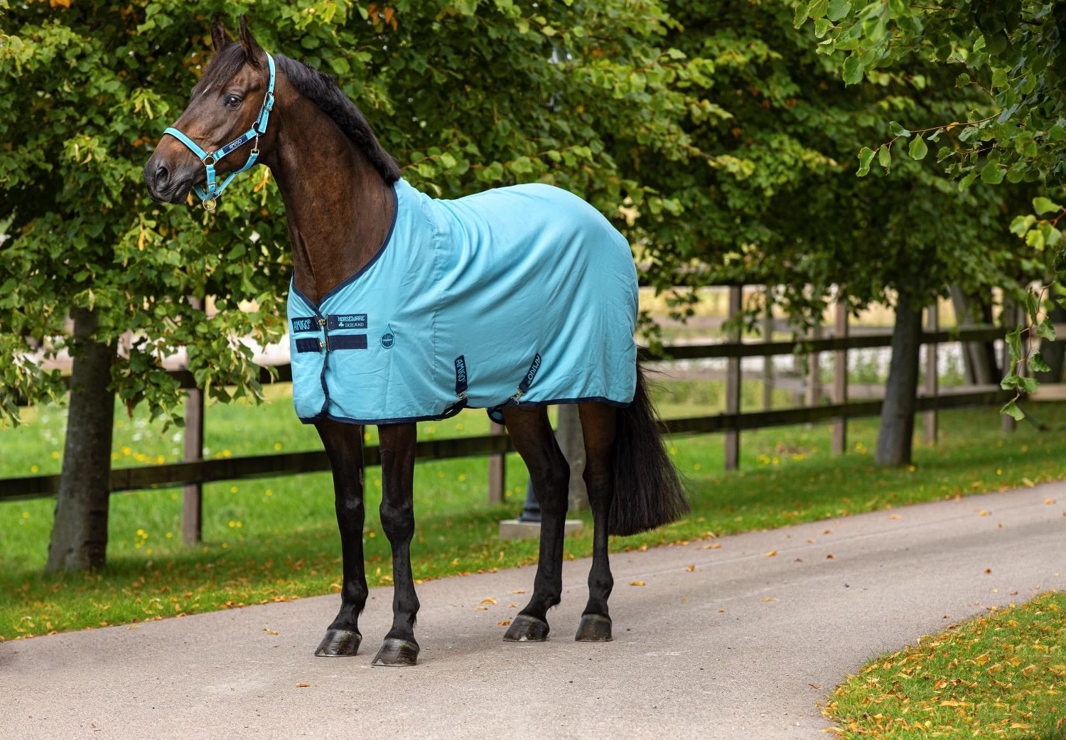 AMIGO STABLE SHEET 1 AMIGO STABLE SHEET