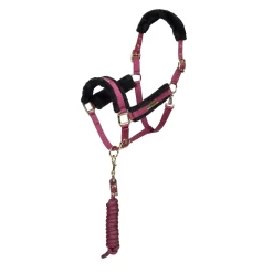 ARMA Logo Headcollar & Lead Rope -Equestrian Supplies Sale arma logo headcollar lead rope 17156