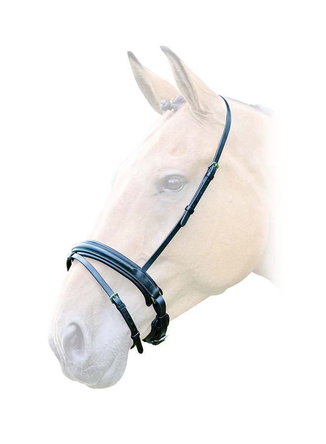 Bridleway Lavello Flash With Crank Noseband 1 Bridleway Lavello Flash With Crank Noseband