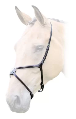 Bridleway Lavello Grackle Noseband