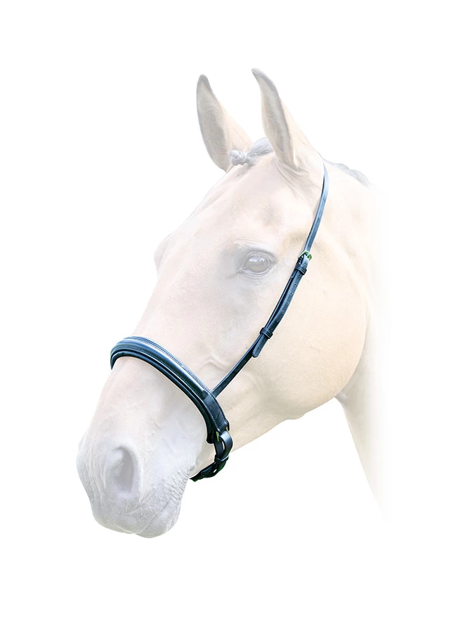 Bridleway Lavello Padded Cavesson Noseband 1 Bridleway Lavello Padded Cavesson Noseband