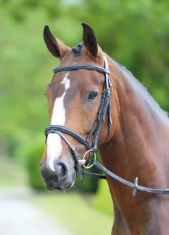 Bridleway Melton Padded Raised Flash Bridle With Reins