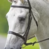Bridleway Melton Plain Cavesson Bridle With Reins