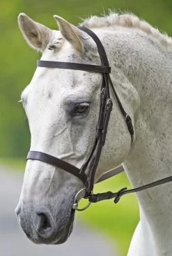 Bridleway Melton Plain Cavesson Bridle With Reins
