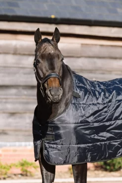 Caballo 100g Liner Rug -Equestrian Supplies Sale caballo 100g liner 17940