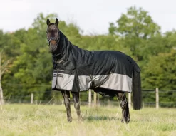 Caballo Light Turnout Rug With Neck