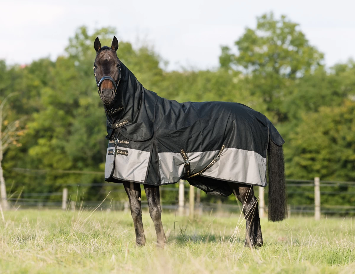 Caballo Light Turnout Rug With Neck 1 Caballo Light Turnout Rug With Neck